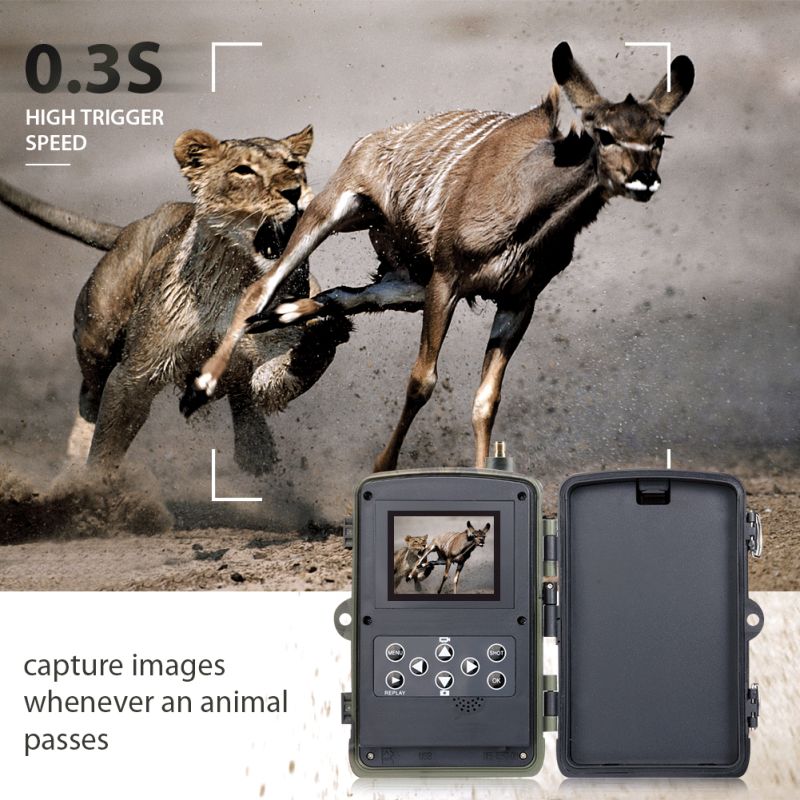 HC801M Trail Wildlife Camera 20MP 1080P Night Vision Perfect for Wildlife Photography and Animal Tracking