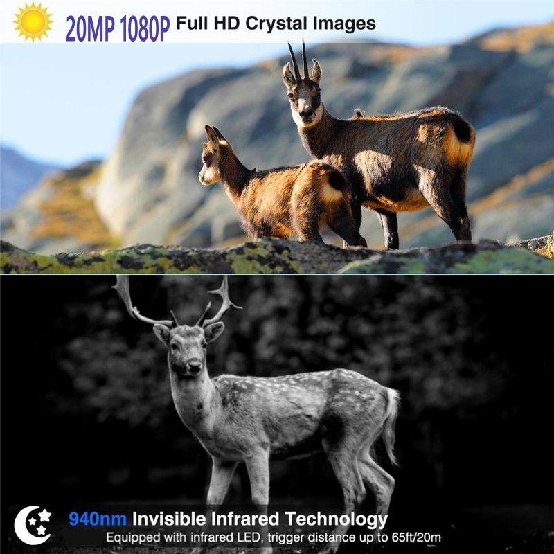 HC801M Trail Wildlife Camera 20MP 1080P Night Vision Perfect for Wildlife Photography and Animal Tracking