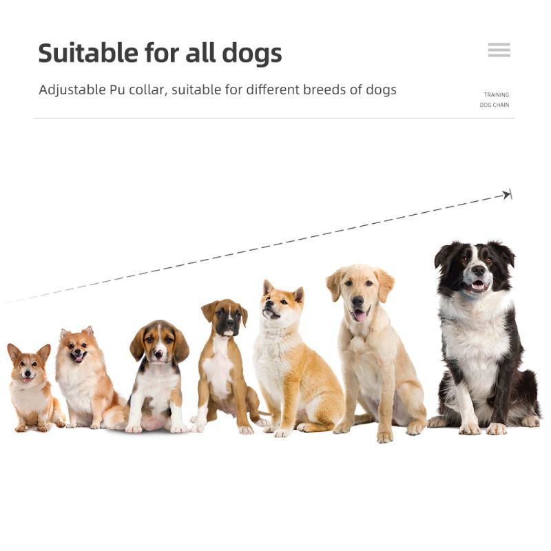 Transform Dog Training with 800m Pet Remote Rechargeable Adjustable Levels IP7 Waterproof Collar Vibration Shock