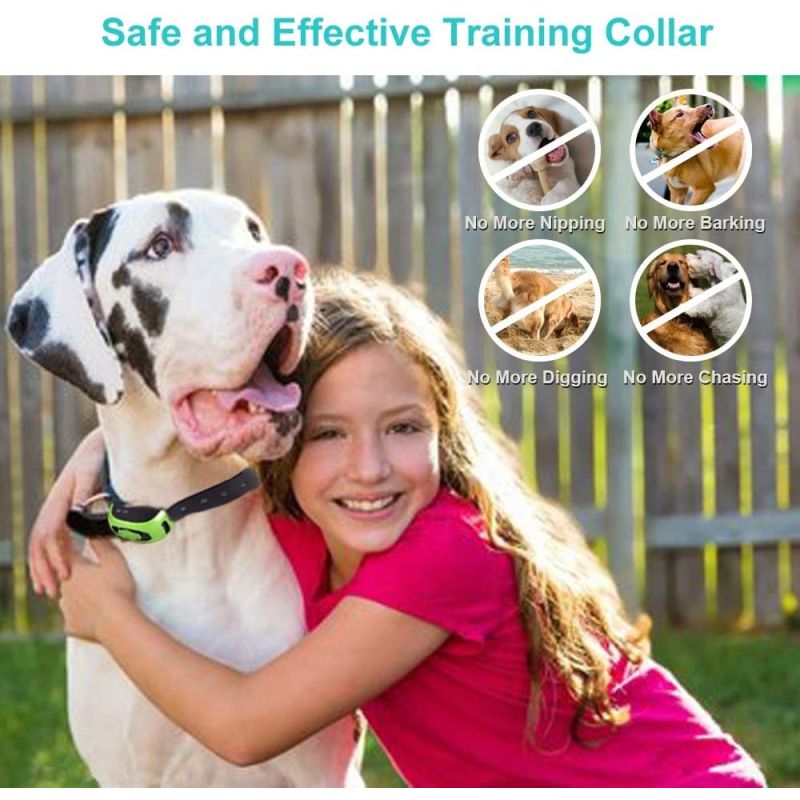 800m Electric Dog Training Collar with 3 Training Modes for Small to Large Dogs Rechargeable for Outdoor Use