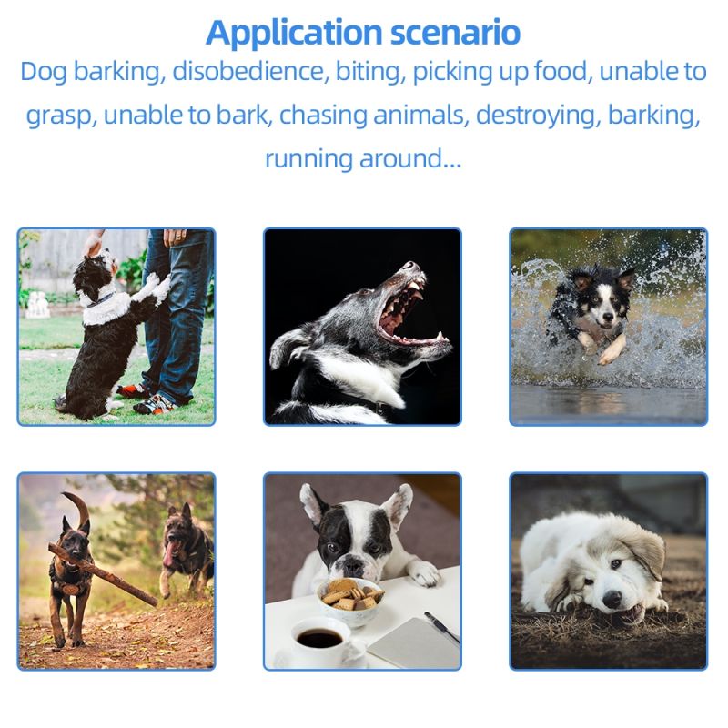 2021 Electric Dog Training Collar with 500m Remote Control Waterproof Rechargeable LCD Display Obedience