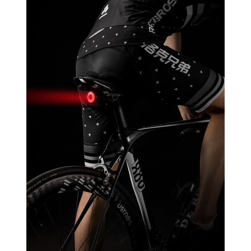 ROCKBROS Q5 Bicycle Smart Light Auto Brake Sensing LED Taillight IPX6 Waterproof Cycling Safety Equipment