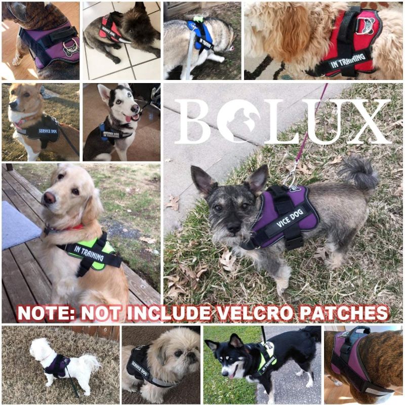 No-Pull Reflective Dog Vest with Handle Adjustable Harness for Medium Breeds Comfortable Walking Gear
