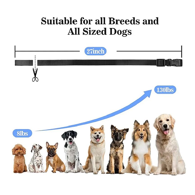 1000m Electric Dog Training Collar Remote Control with Safety Keylock and Adjustable Modes for Humane Training