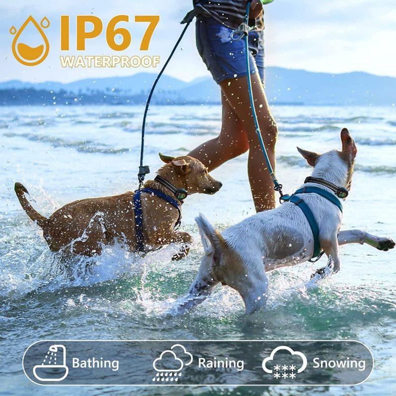 Color Screen Stopper Trainer with Bark Detection Algorithm Humane Dog Training Device for Effective Results