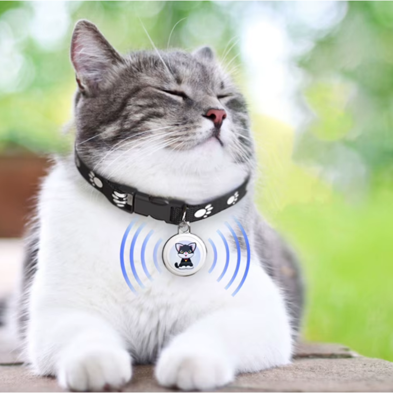 Innovative Dog Tracker Airtag Dog Collar Real-Time Location Bluetooth Tracking Pet Owner Essentials