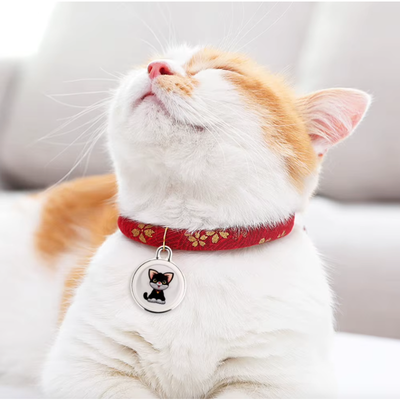 Innovative Dog Tracker Airtag Dog Collar Real-Time Location Bluetooth Tracking Pet Owner Essentials