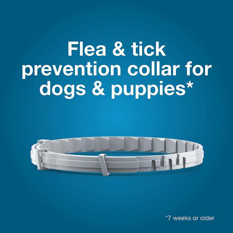 Seresto Large Dog Vet-Recommended Flea & Tick Treatment & Prevention Collar 8 Months Protection