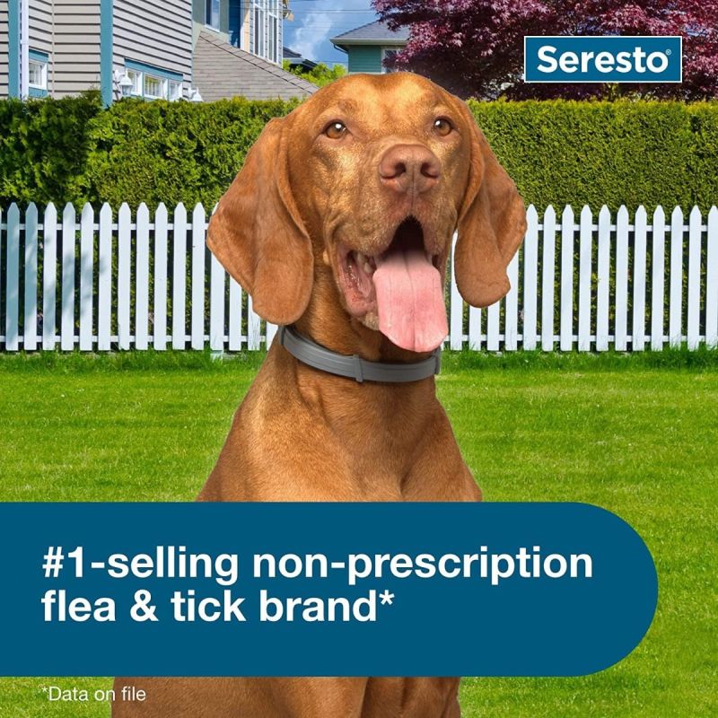 Seresto Large Dog Vet-Recommended Flea & Tick Treatment & Prevention Collar 8 Months Protection