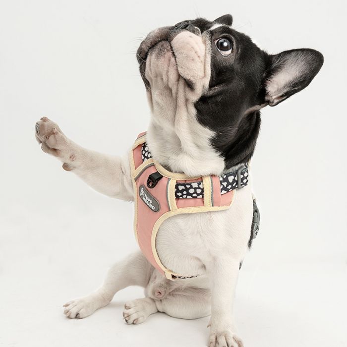 male dog harness