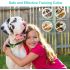 800m Electric Dog Training Collar with 3 Training Modes for Small to Large Dogs Rechargeable for Outdoor Use