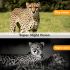 HC801M Trail Wildlife Camera 20MP 1080P Night Vision Perfect for Wildlife Photography and Animal Tracking