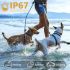 Smart Automatic Anti Barking Dog Collar Rechargeable Design with Intelligent Bark Recognition Humane Solution