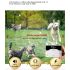 Wireless Dog Fence System Remote Training Collar for All Size Dogs Safe Pet Containment and Behavior Management