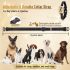 Wireless Pet Fence & Electric Shocker Dog Collar 2-in-1 Device for Pet Safety Responsible Pet Ownership
