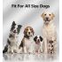 GPS Wireless Dog Fence Outdoor Pet Fencing Device 3280 Ft Range Easy Installation for Pet Safety and Freedom