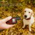 NEW Waterproof Rechargeable Dog Training Collar with Adjustable Shock Levels Effective Behavior Correction