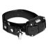 800m Electric Dog Training Collar Waterproof Rechargeable Pet Remote Control with LCD Display Adjustable Modes