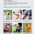 Pet Wireless Electronic Fence Smart Dog Training Device Two-in-One Ergonomic Anti-Barking Collar 2025