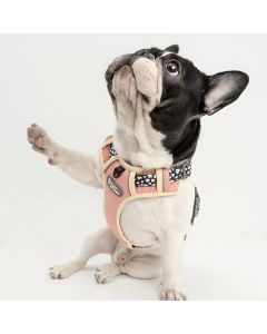 TUFF HOUND Nylon Dog Harness No Pull Safety Harness Dog French Bulldog Reflective Adjustable Soft Puppy Harness Vest 