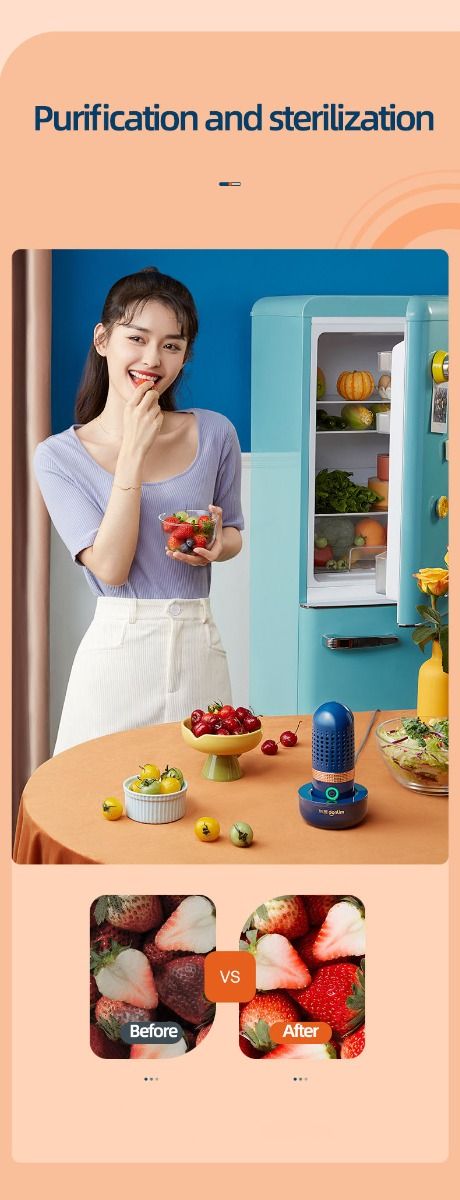 Donlim Disinfectant Vegetables Dishwasher Machine Food Safety Device for Health-Conscious Meal Preparation
