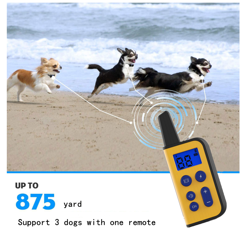 Waterproof Electric Dog Training Collar 1000m Range Adjustable Stimulation Levels for Humane Training