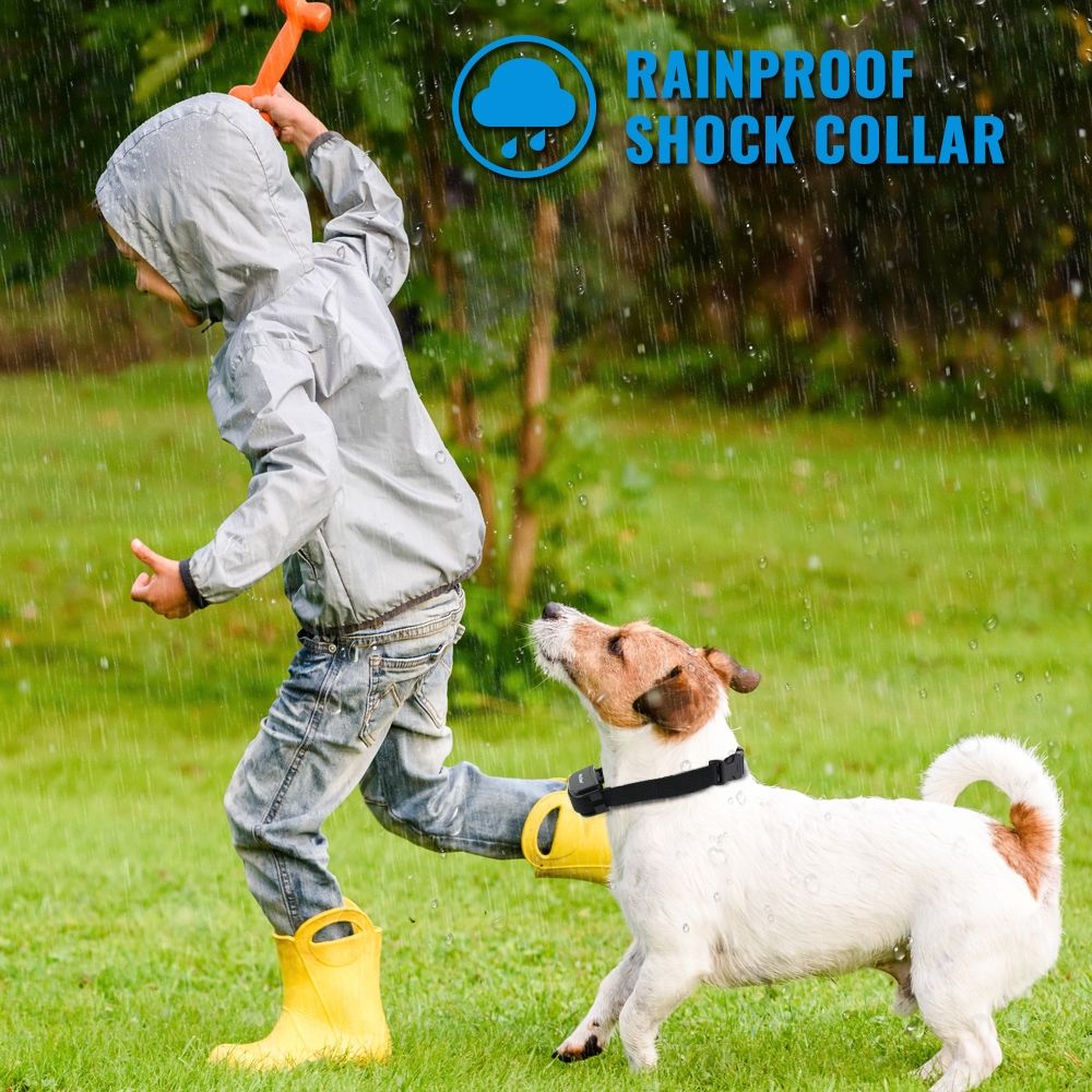 Petrainer 998D Remote Electric Dog Training Collar 300M Range Waterproof Rechargeable High-Capacity Battery