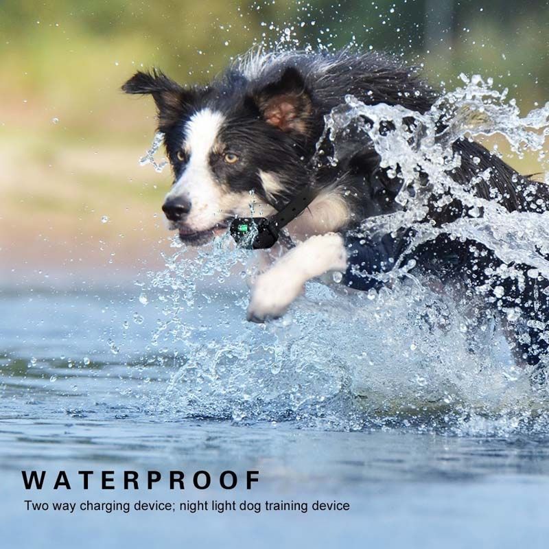Discover the Electric Dog Training Collar with LCD Display Waterproof Design Adjustable Shock Levels