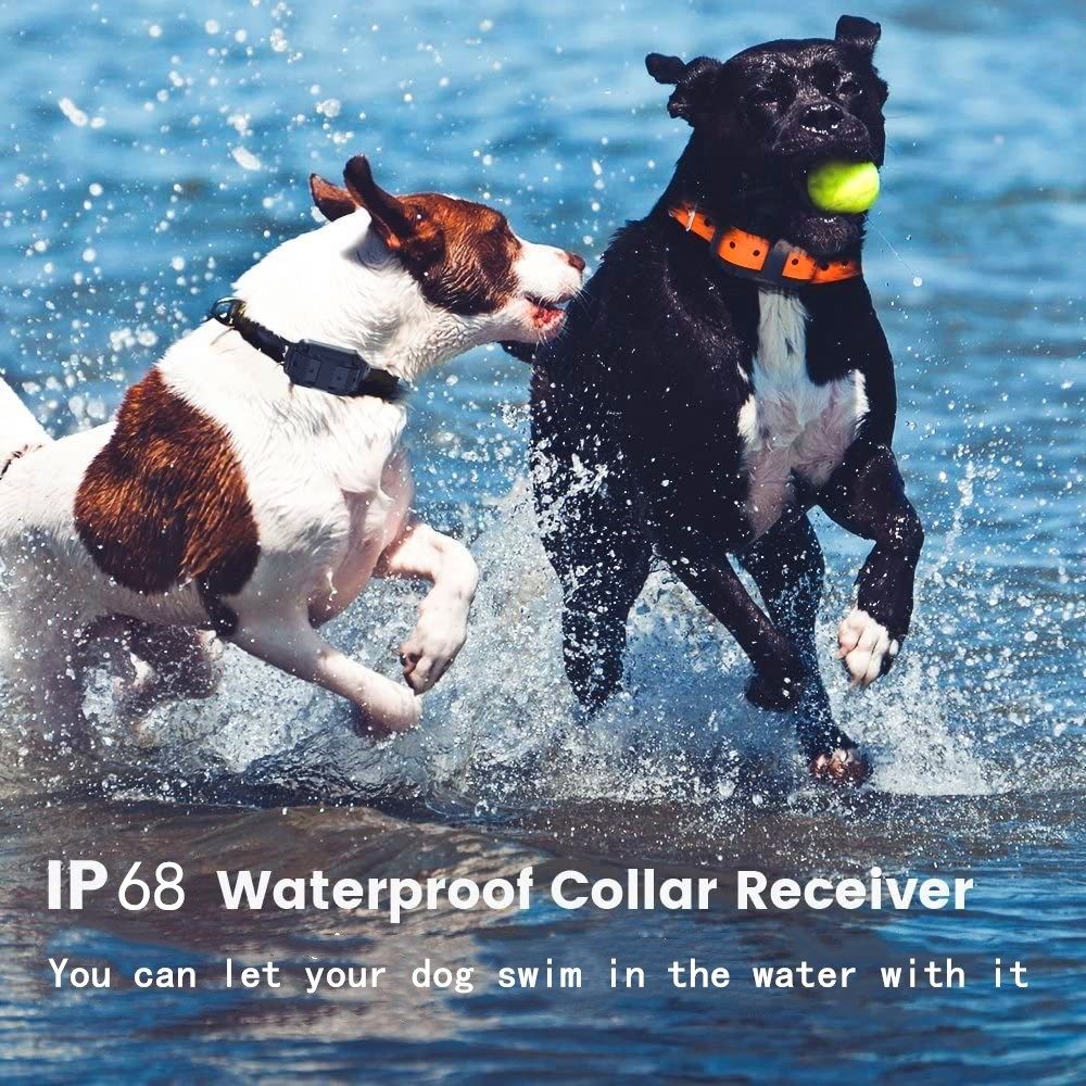 Waterproof Electric Dog Training Collar 1000m Range Adjustable Stimulation Levels for Humane Training