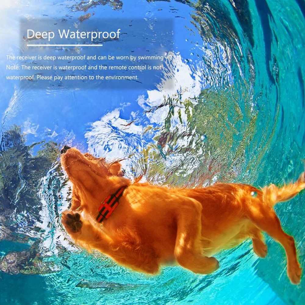 NEW Waterproof Rechargeable Dog Training Collar with Adjustable Shock Levels Effective Behavior Correction